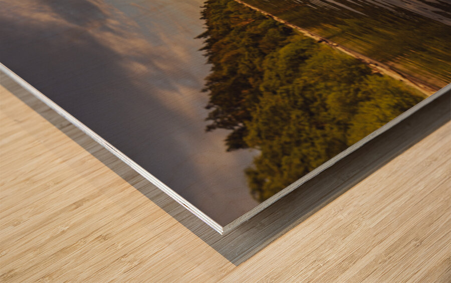 Its All Mine  Wood print