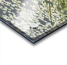 Monet moment Acrylic print