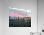 Evening delight  Acrylic Print