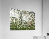 Monet moment Acrylic Print