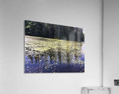 Lac Heron Acrylic Print