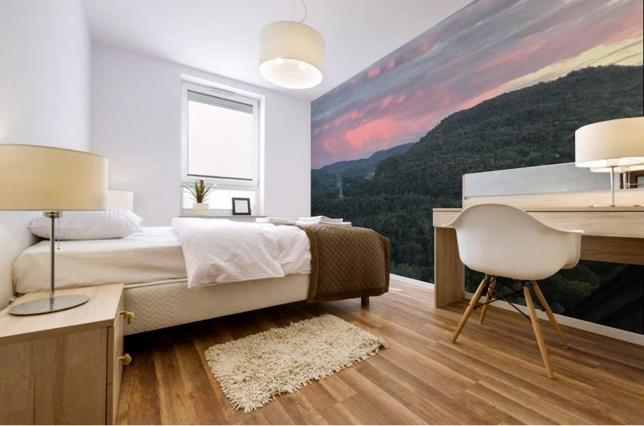 Evening delight  Mural print