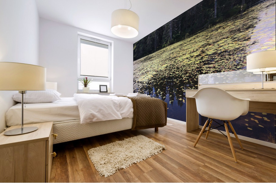 Lac Heron Mural print
