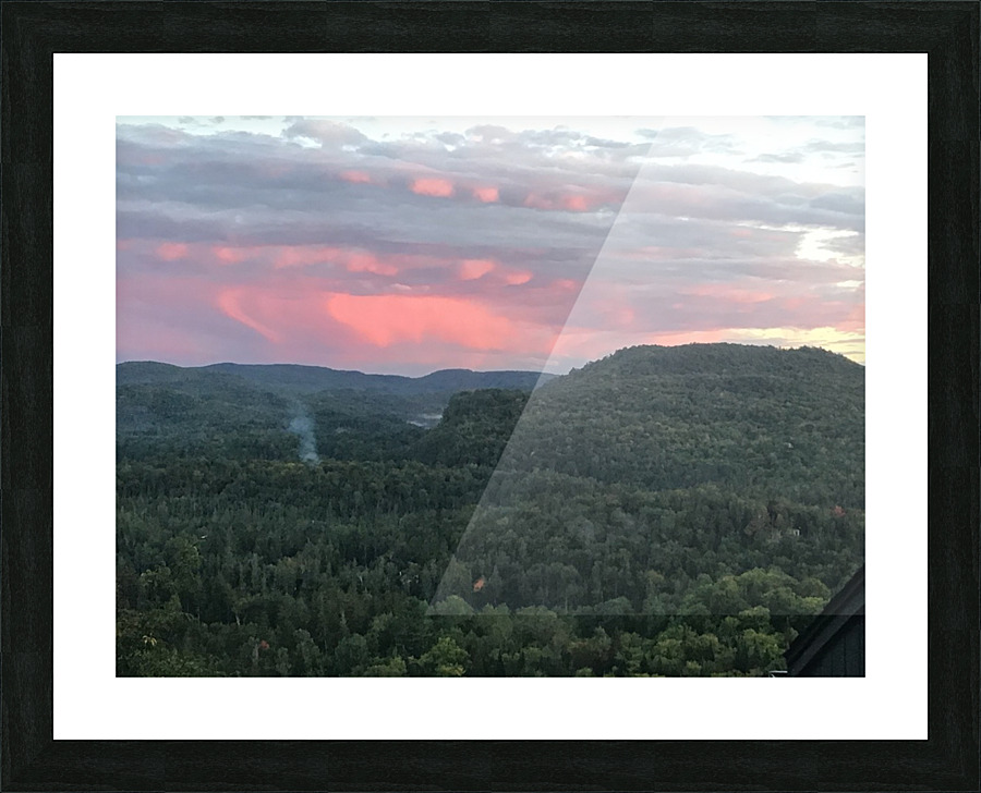 Evening delight  Picture Frame print