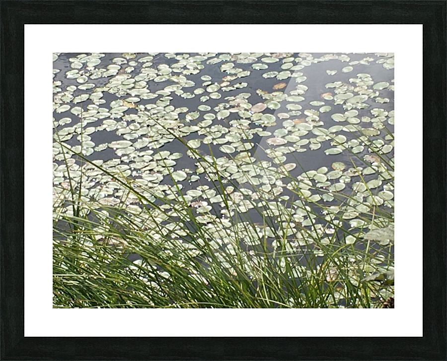 Monet moment Picture Frame print