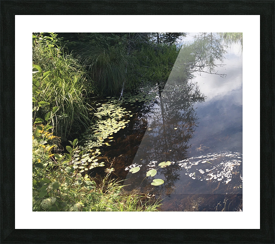 Still waters Picture Frame print
