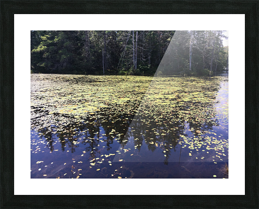 Lac Heron Picture Frame print