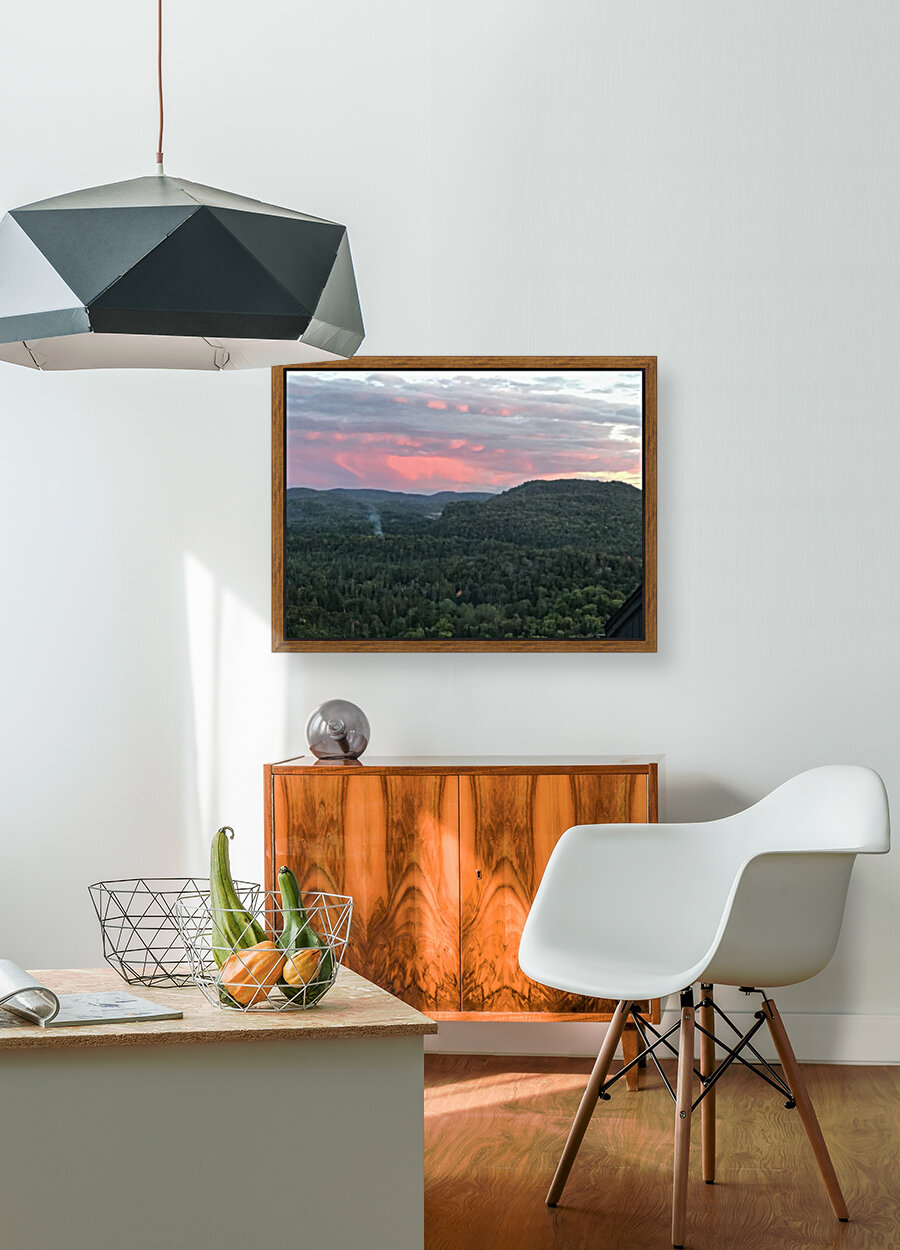Evening delight  Reproduction