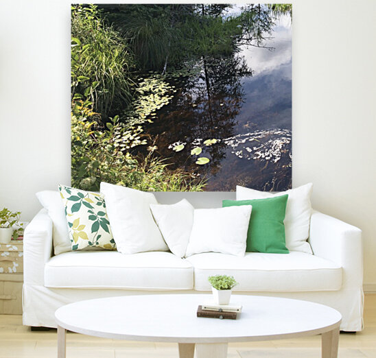 Still waters Reproduction