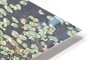 Monet moment HD Metal print