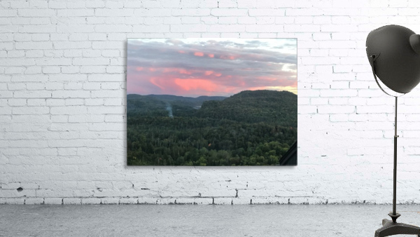 Evening delight  Wall Preview