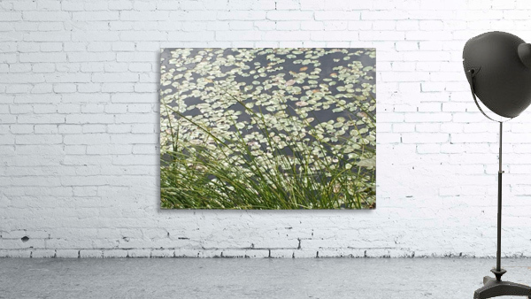 Monet moment Wall Preview