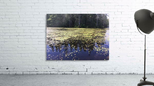 Lac Heron Wall Preview