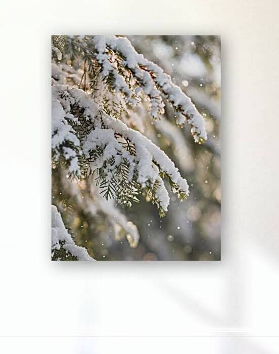 Snow-Kissed Evergreen Close-Up – Winter Nature Photography Print by Nexanovart