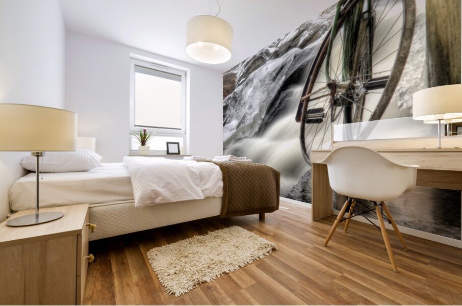 VTV1114 5 6 tonemapped Mural print