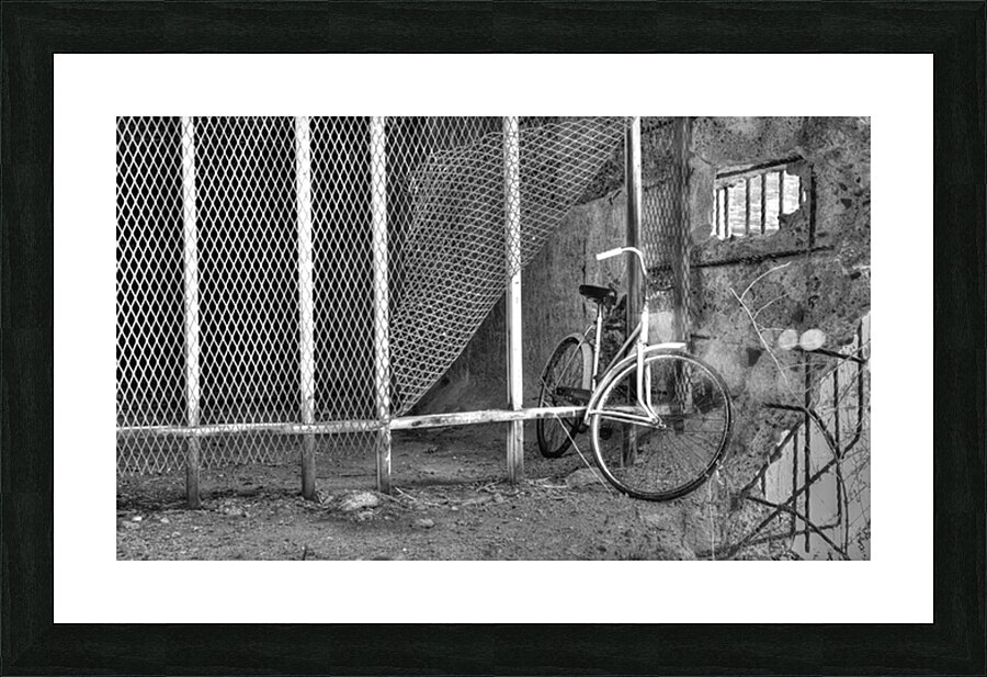 barred inbnw Picture Frame print