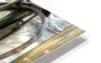 VTV1114 5 6 tonemapped HD Metal print