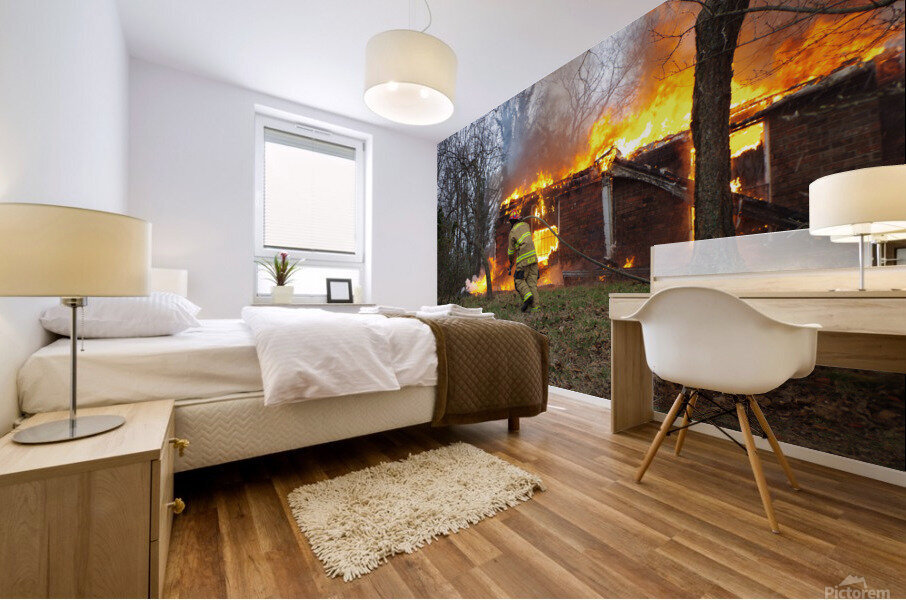 020920 14 Mural print