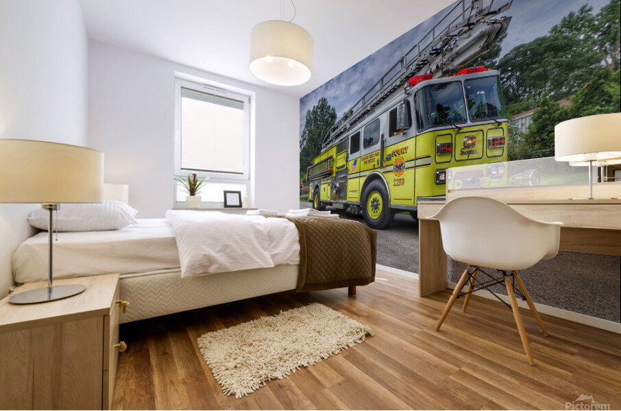 081818 2253 Mural print