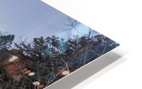 Quiet Waters HD Metal print