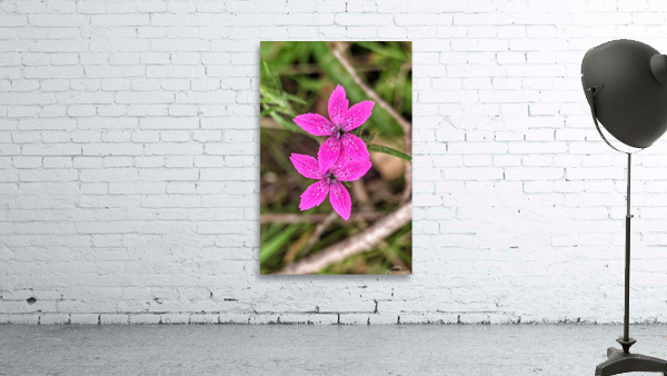 Spring Flowers Wall Preview