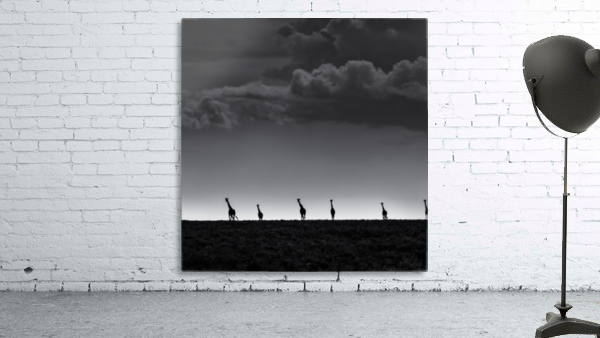 6 Giraffes Wall Preview