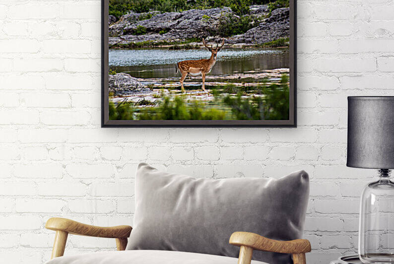 Fallow by the Water by Masai Photography