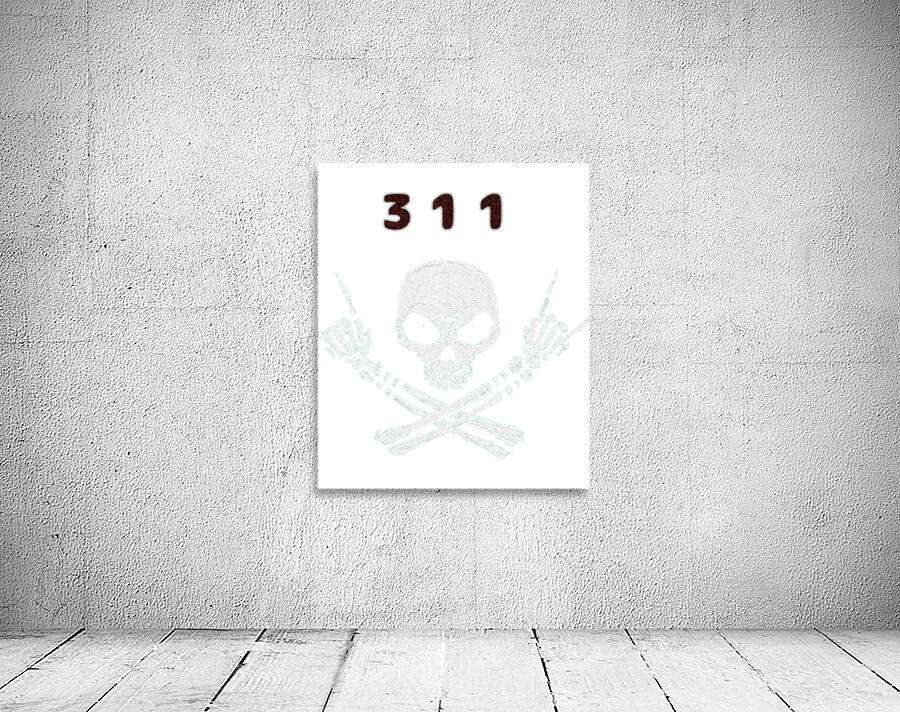 311 Band 17 Wall Preview