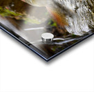 Chippin  in Acrylic print