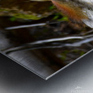 Chippin  in Metal print