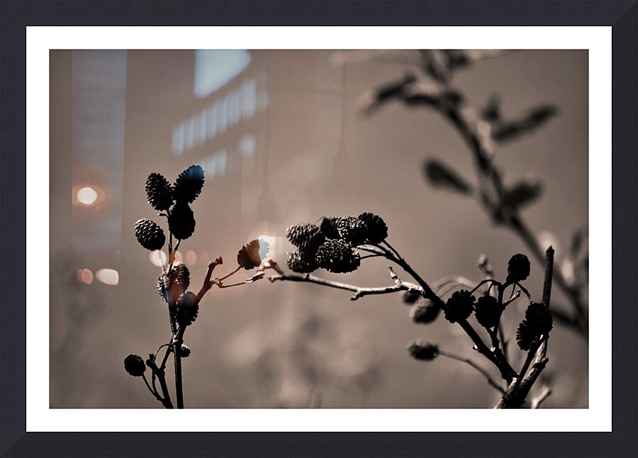 Shape study Picture Frame print