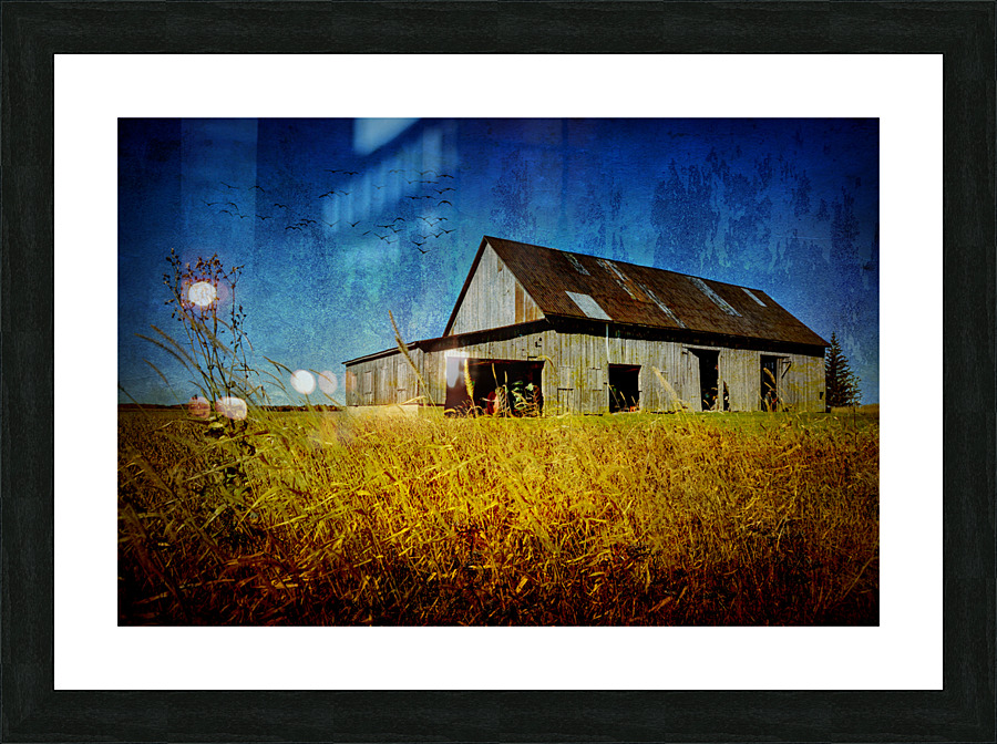 FLA 1208 1 Picture Frame print