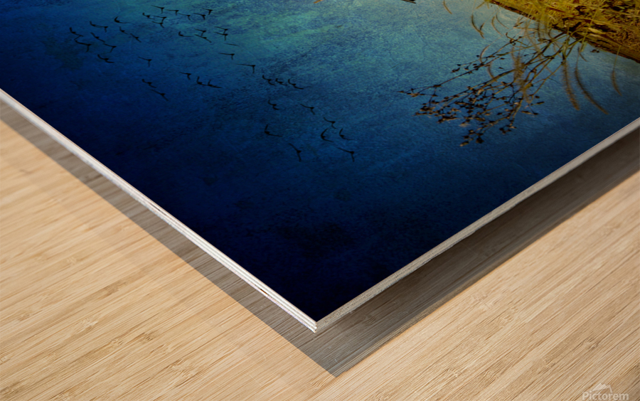 FLA 1208 1 Wood print