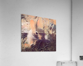 Autumn Rabbit Acrylic Print