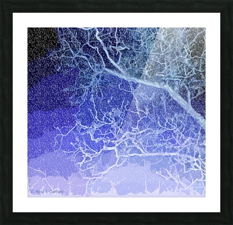 TreeBranches2 Picture Frame print