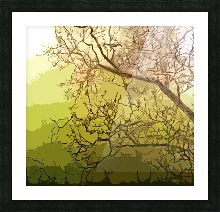 TreeBranches1 Picture Frame print