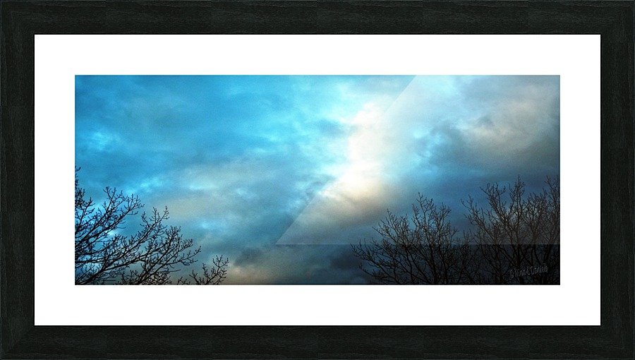 Between The Trees Picture Frame print