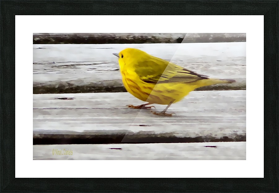 Yellow Bird Painted Picture Frame print