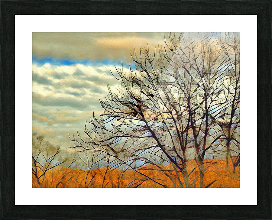 Branches Picture Frame print