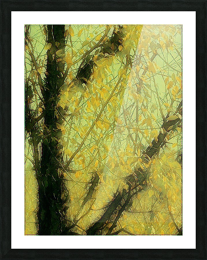 Sunkissed Picture Frame print