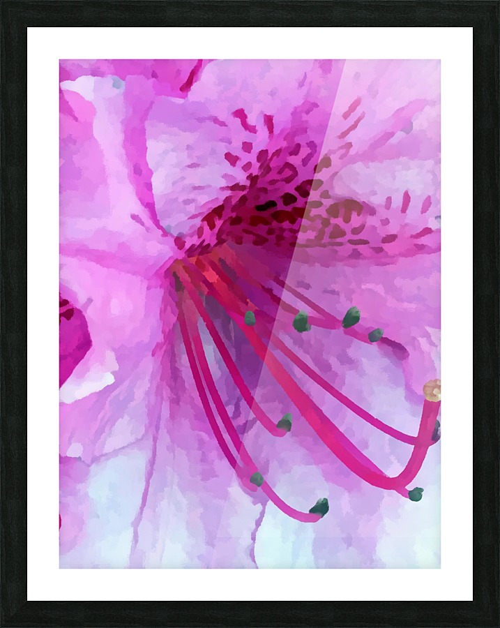 Azalea Picture Frame print