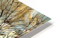 Branches HD Metal print