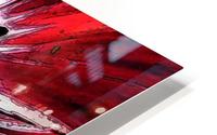 Red Tulip HD Metal print