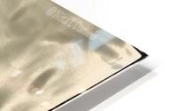 Intimacy HD Metal print