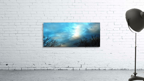 Between The Trees Wall Preview