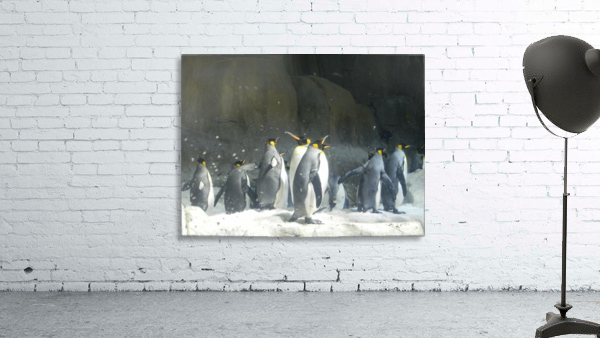 Penguins Few Wall Preview