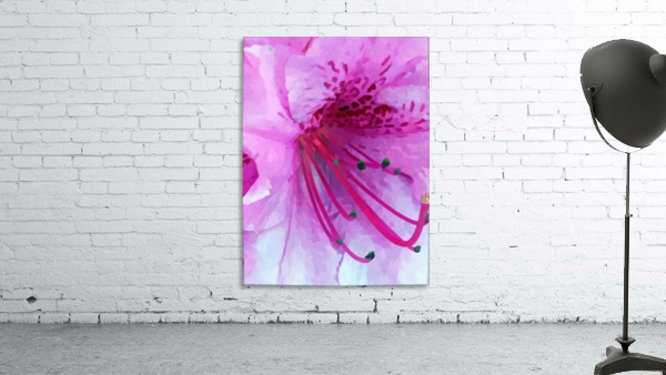 Azalea Wall Preview