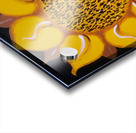 Sunflower Acrylic print