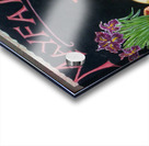 Mayfair Irises London Acrylic print