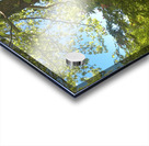 Green Acrylic print